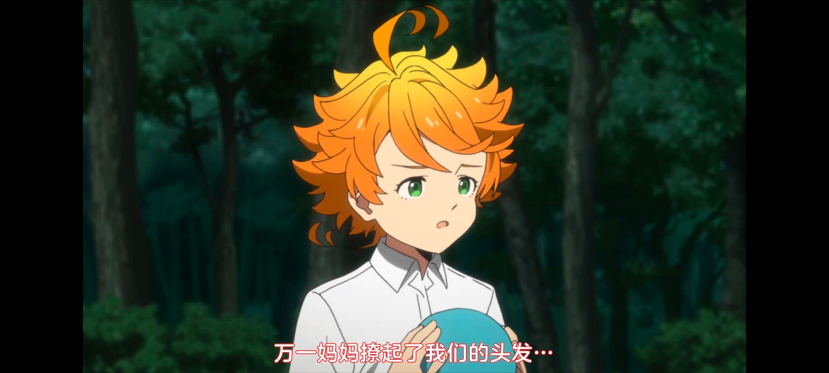 约定的梦幻岛,动画,动漫,番剧,ACG