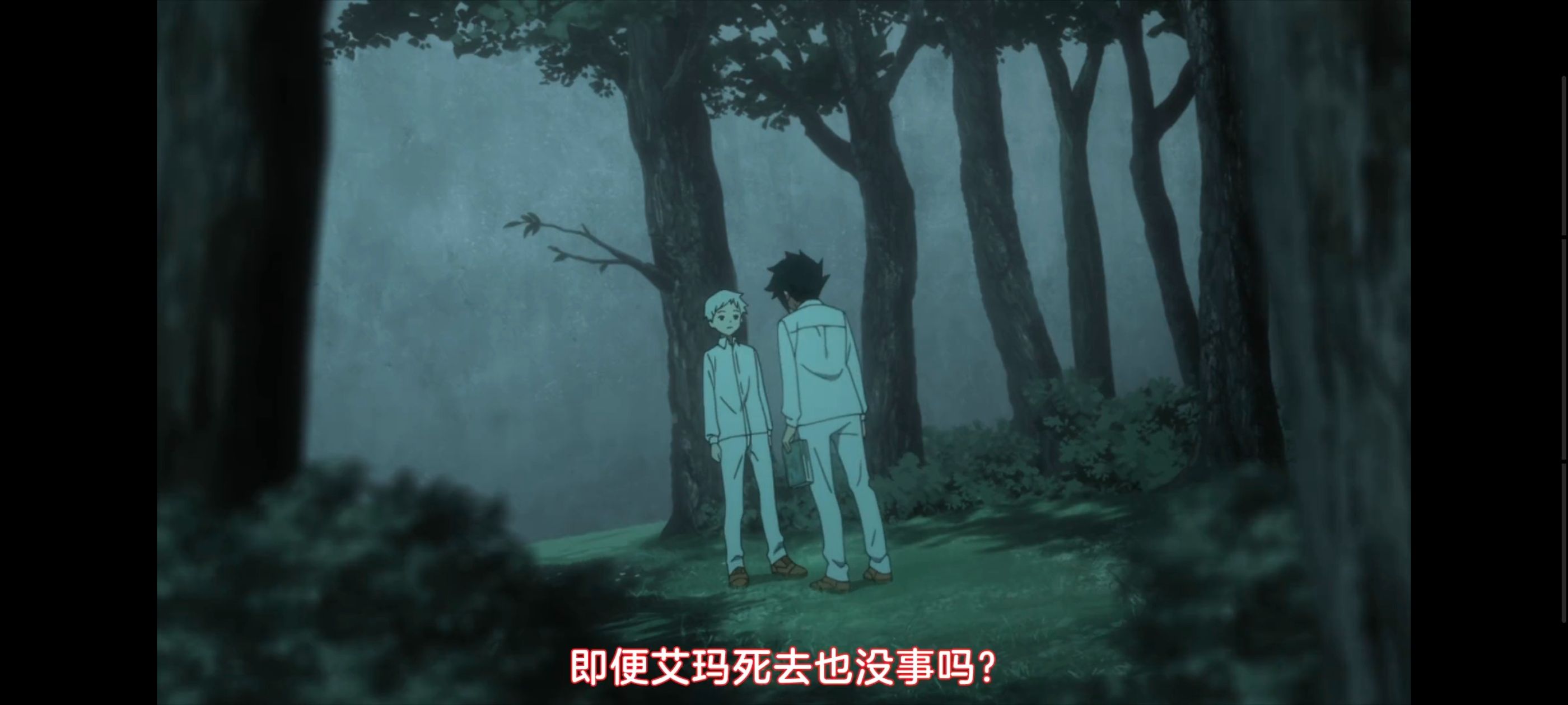 约定的梦幻岛,动画,动漫,番剧,ACG