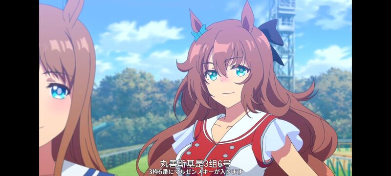 赛马娘,赛马娘PrettyDreby,动画,动漫,番剧,ACG