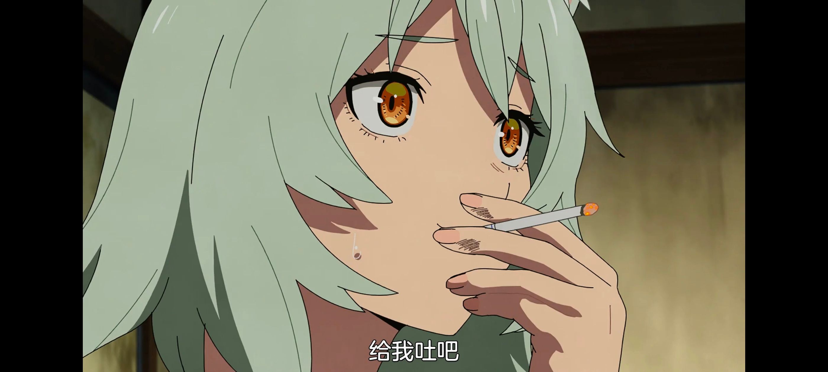 尼古喵喵,雅尼猫,动画,动漫,番剧,二次元,日漫,ACG