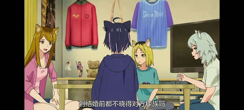 尼古喵喵,雅尼猫,动画,动漫,番剧,日漫,二次元,ACG