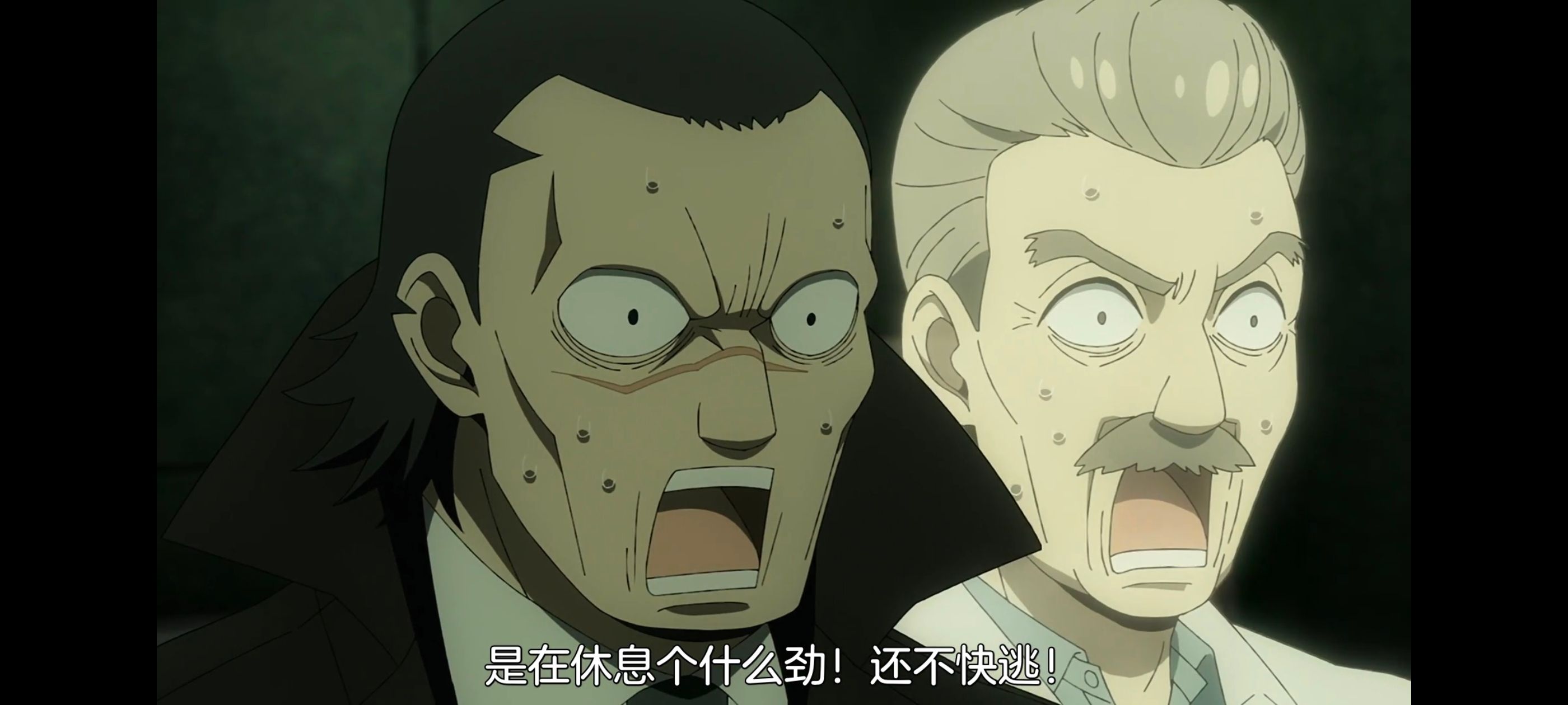 间谍过家家,SPYFAMILY,动画,动漫,番剧,ACG