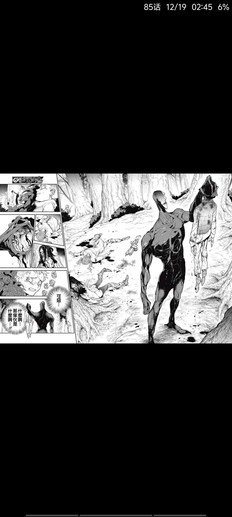 约定的梦幻岛,动漫,漫画,日漫,ACG