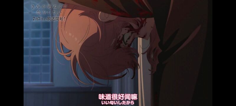 与你相恋到生命尽头,与你相恋到世界尽头,动画,动漫,番剧,百合,二次元,ACG