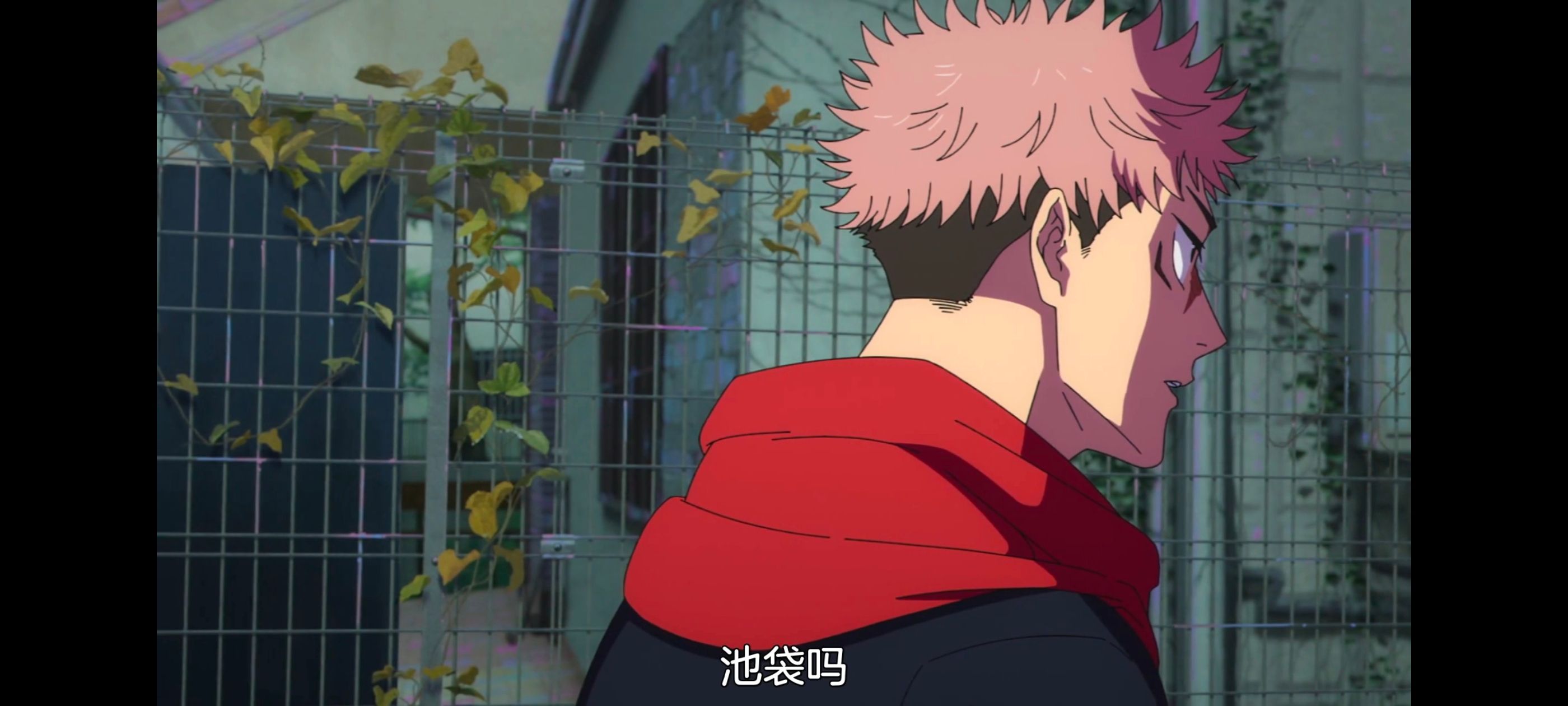 咒术回战,咒术回战死灭回游,动漫,动画,番剧,二次元,ACG