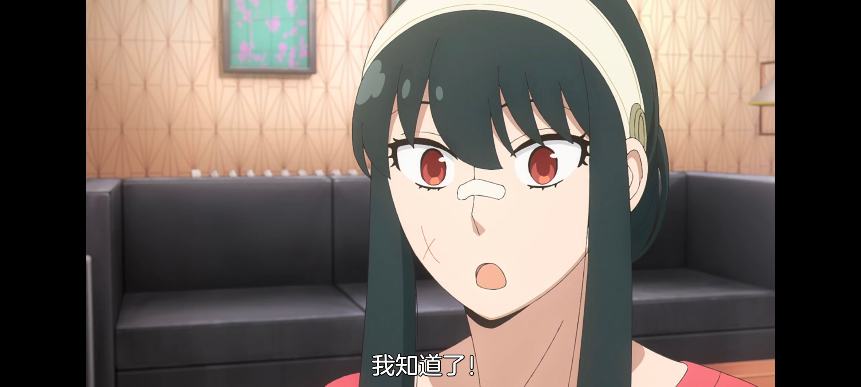 间谍过家家,SPYFAMILY,动画,动漫,番剧,ACG