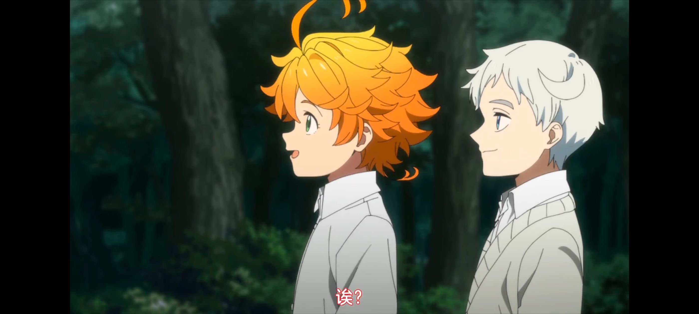 约定的梦幻岛,动画,动漫,番剧,二次元,ACG