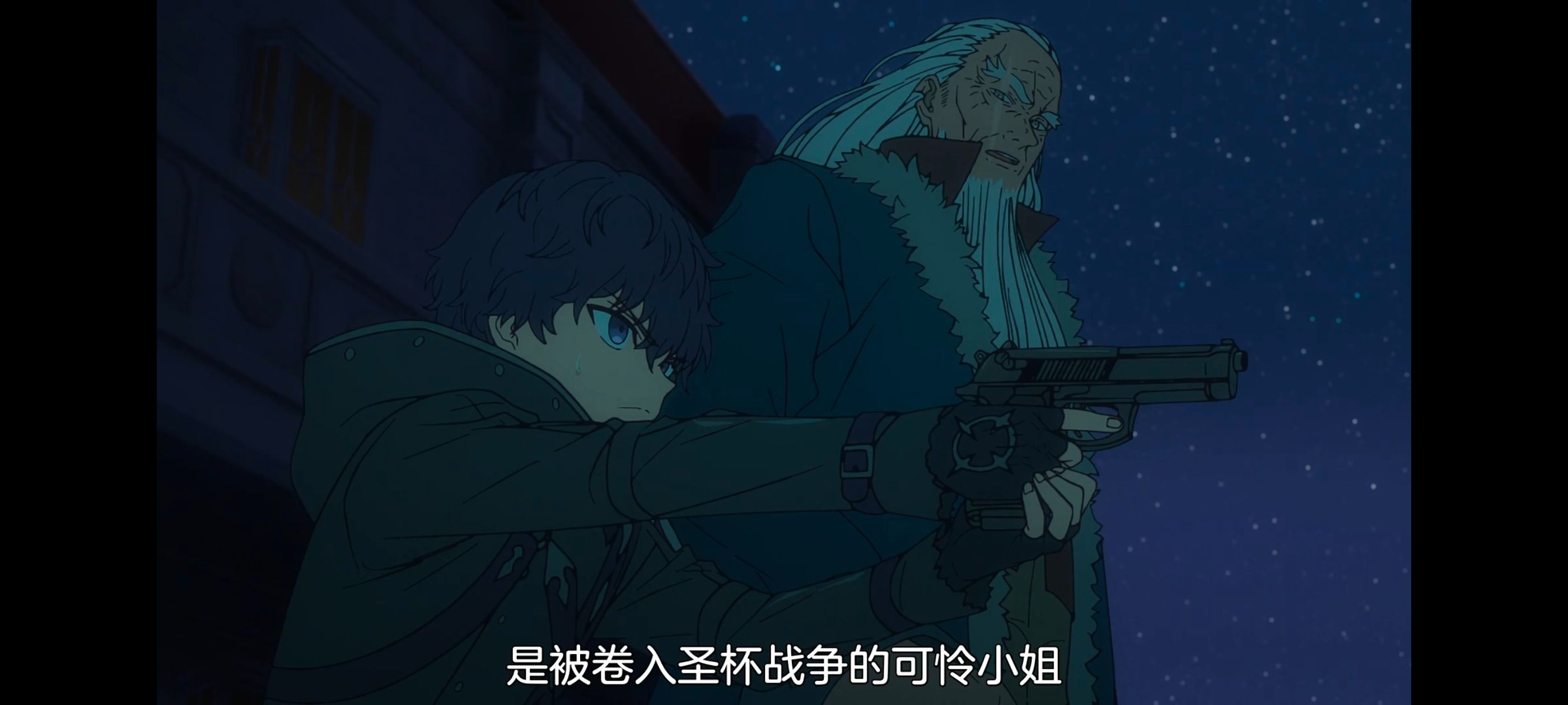 命运奇异赝品,FatestrangeFake,动画,动漫,番剧,ACG