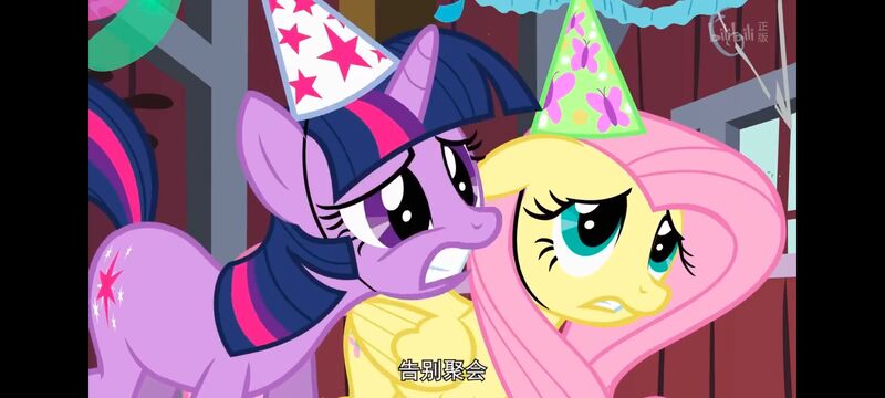 小马宝莉,小马宝莉友谊魔法,彩虹小马,我的小马驹,动画,动漫,番剧,ACG