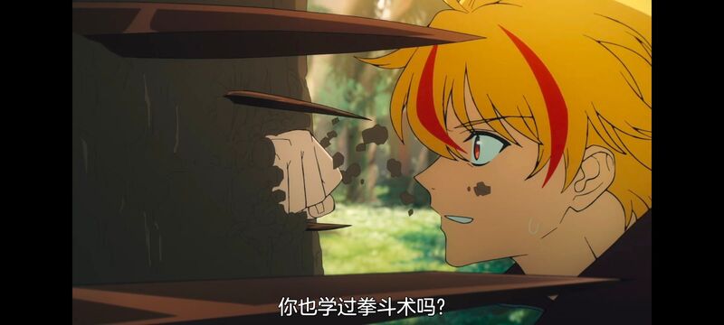 命运奇异赝品,FatestrangeFake,动画,动漫,番剧,ACG