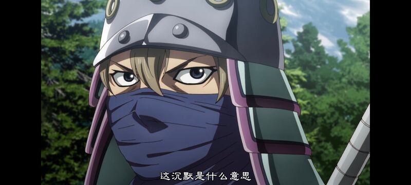 王者天下,动画,动漫,番剧,ACG