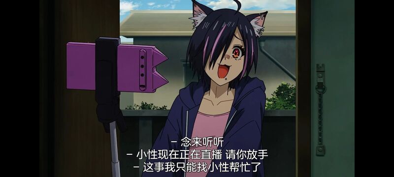 尼古喵喵,雅尼猫,动画,动漫,番剧,二次元,日漫,ACG