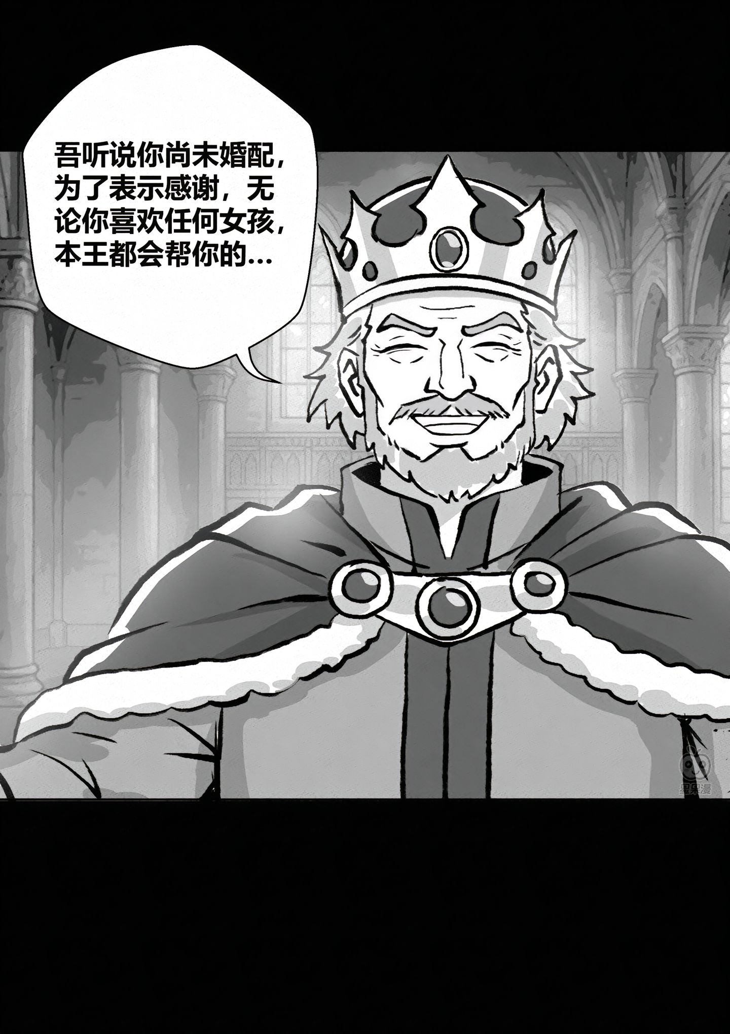 纯爱,纳税,公主,精灵,预言家,预言,国王,勇者