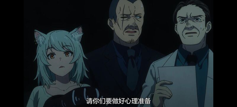 尼古喵喵,雅尼猫,动画,动漫,番剧,二次元,日漫,ACG