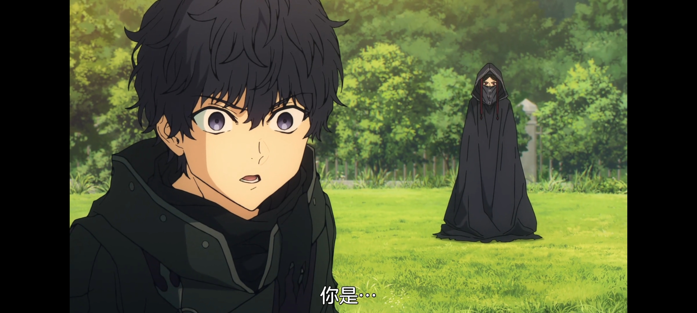 命运奇异赝品,FATE,FatestrangeFake,动画,动漫,番剧,二次元,ACG