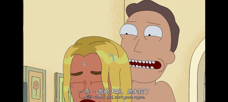 瑞克和莫蒂,瑞克与莫蒂,美漫,动漫,动画,番剧,ACG