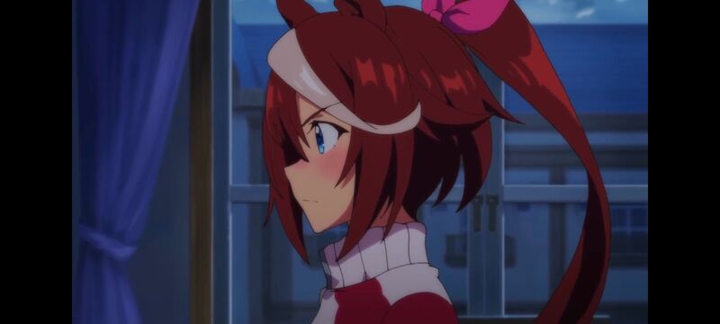 赛马娘,赛马娘PrettyDreby,赛马娘第二季,动画,动漫,番剧,ACG