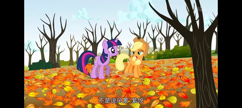 小马宝莉,小马宝莉友谊魔法,彩虹小马,我的小马驹,动画,动漫,番剧,ACG