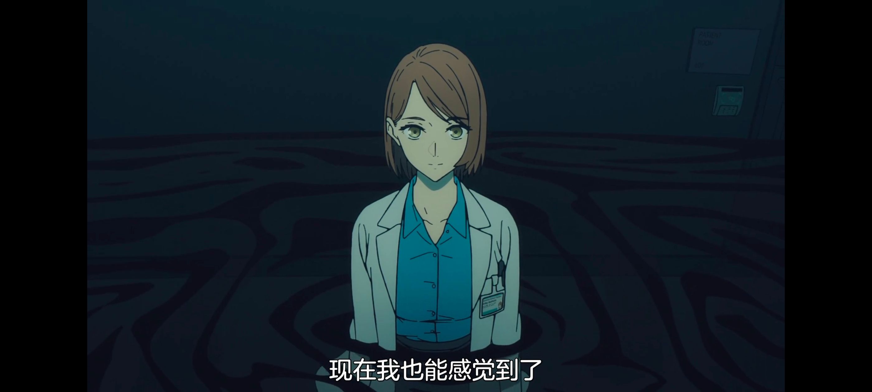 命运奇异赝品,FatestrangeFake,动画,动漫,番剧,ACG