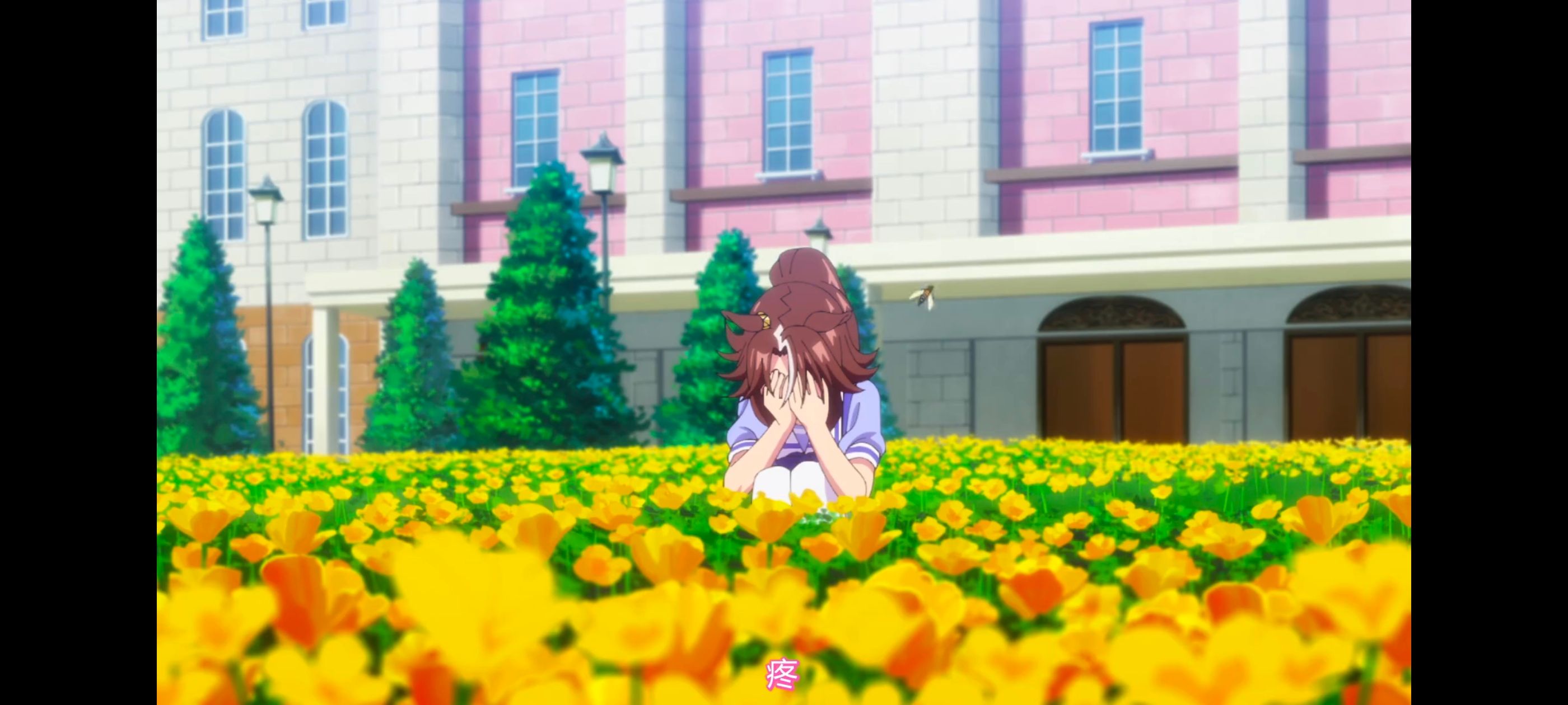 赛马娘,赛马娘PrettyDreby,赛马娘第二季,动画,动漫,番剧,二次元,ACG