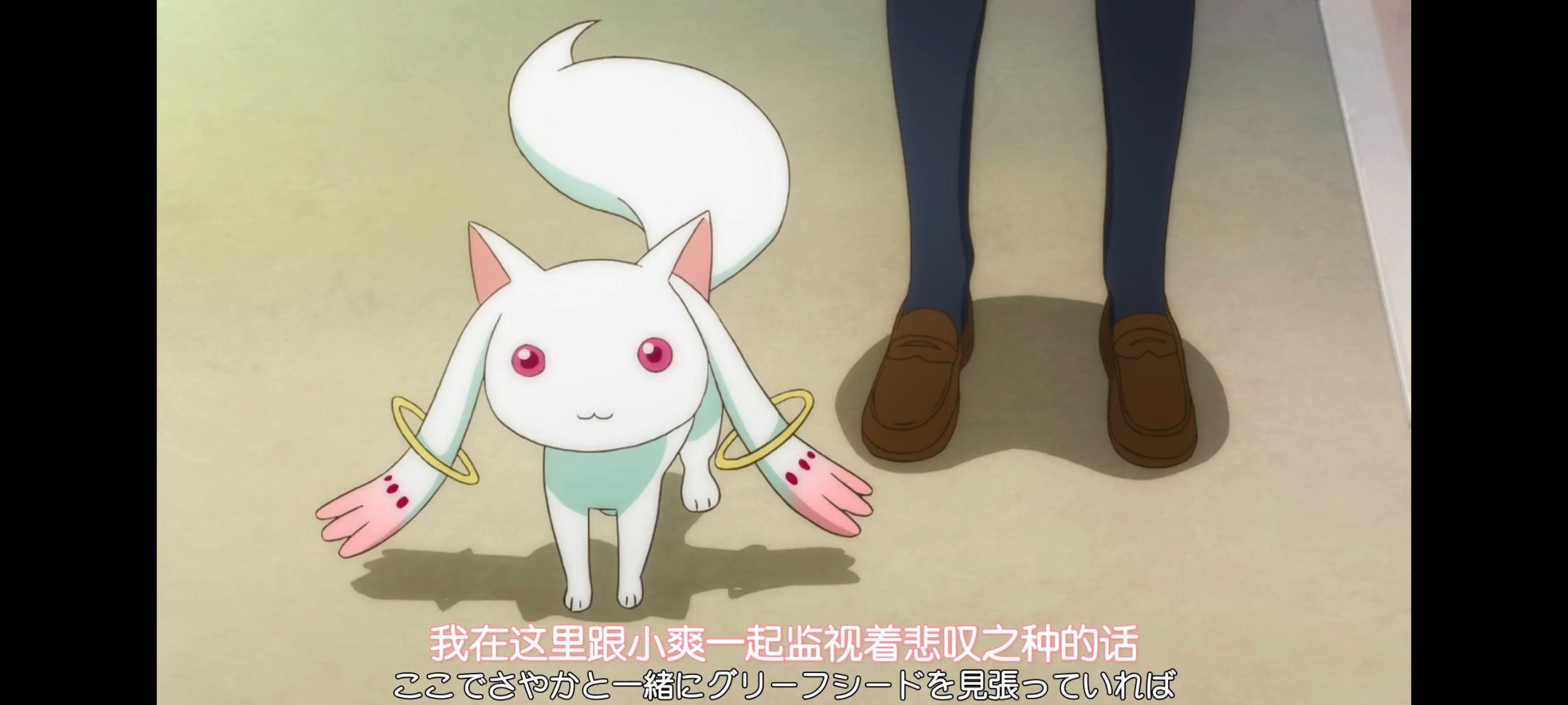 魔法少女小圆,魔法少女,动画,动漫,番剧,ACG