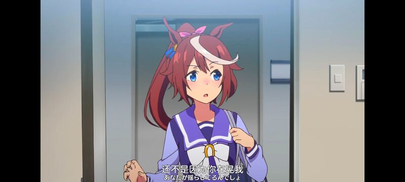 赛马娘,赛马娘PrettyDreby,动画,动漫,番剧,ACG