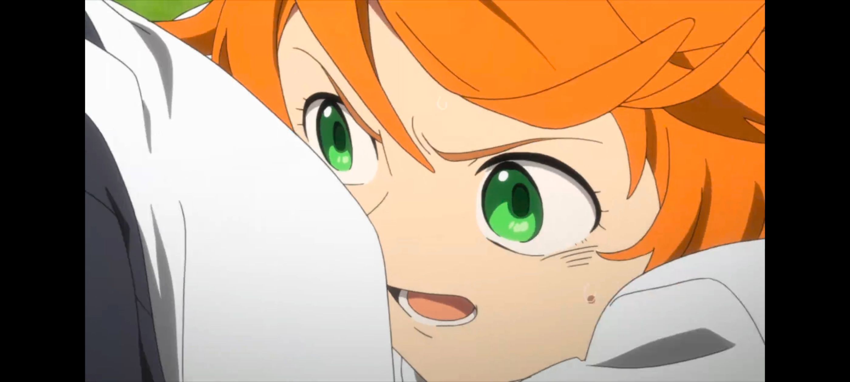 约定的梦幻岛,动画,动漫,番剧,二次元,ACG