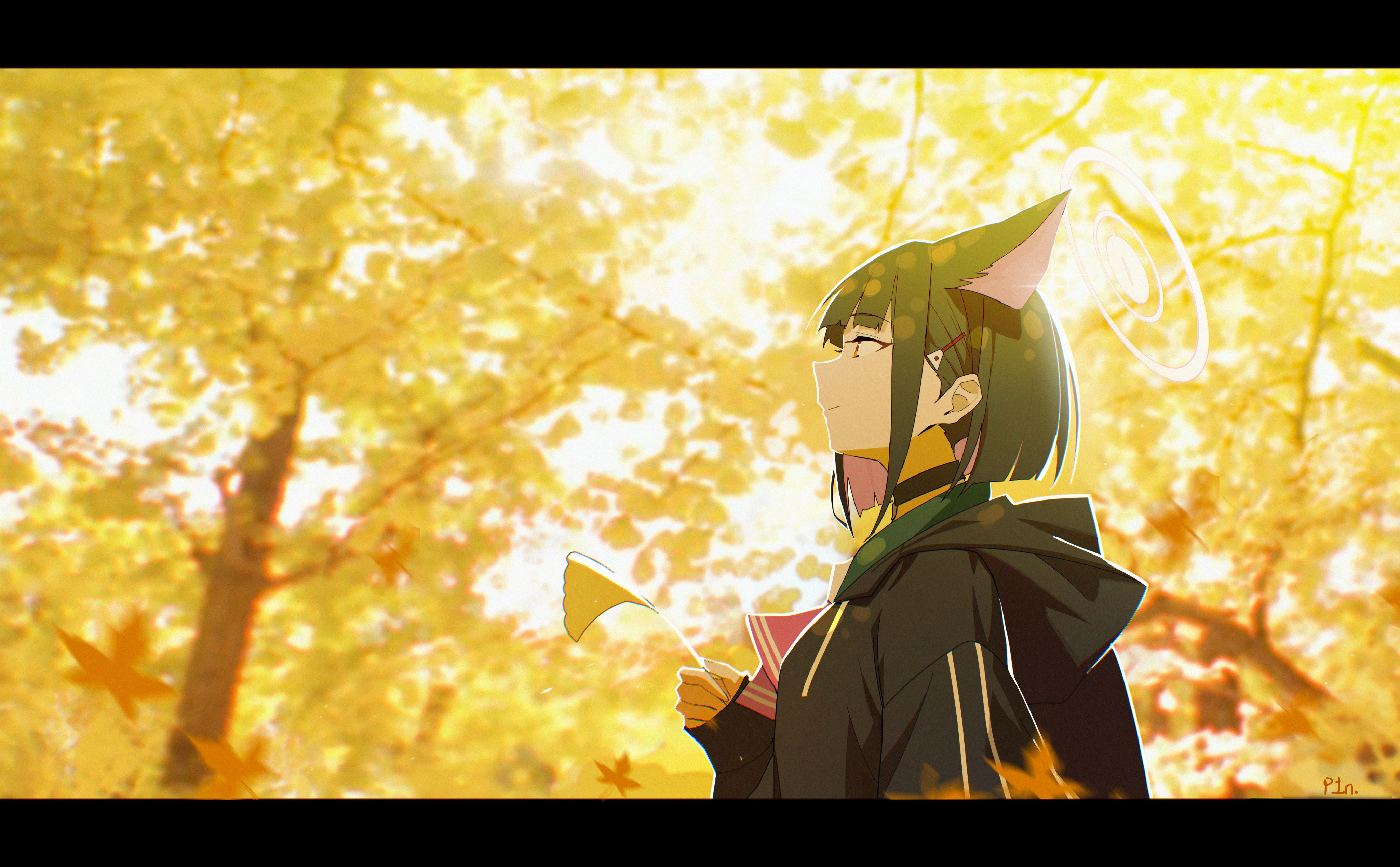 蔚蓝档案,明日方舟,明日方舟终末地,ACG,图集