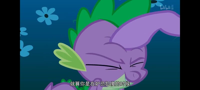 小马宝莉,彩虹小马,我的小马驹,动画,动漫,番剧,ACG,小马宝莉友谊魔法