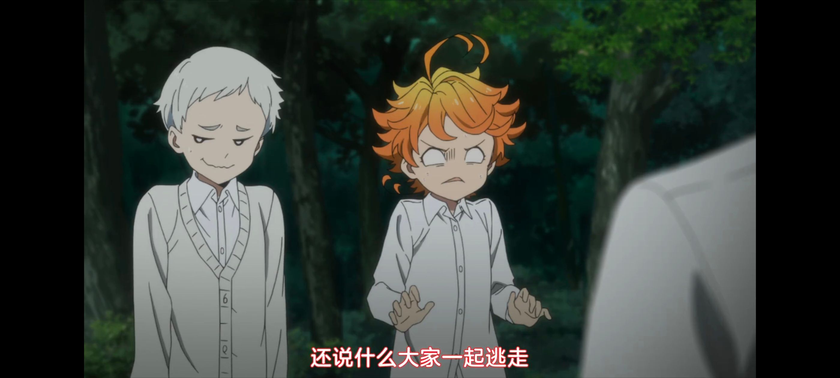 约定的梦幻岛,动画,动漫,番剧,ACG