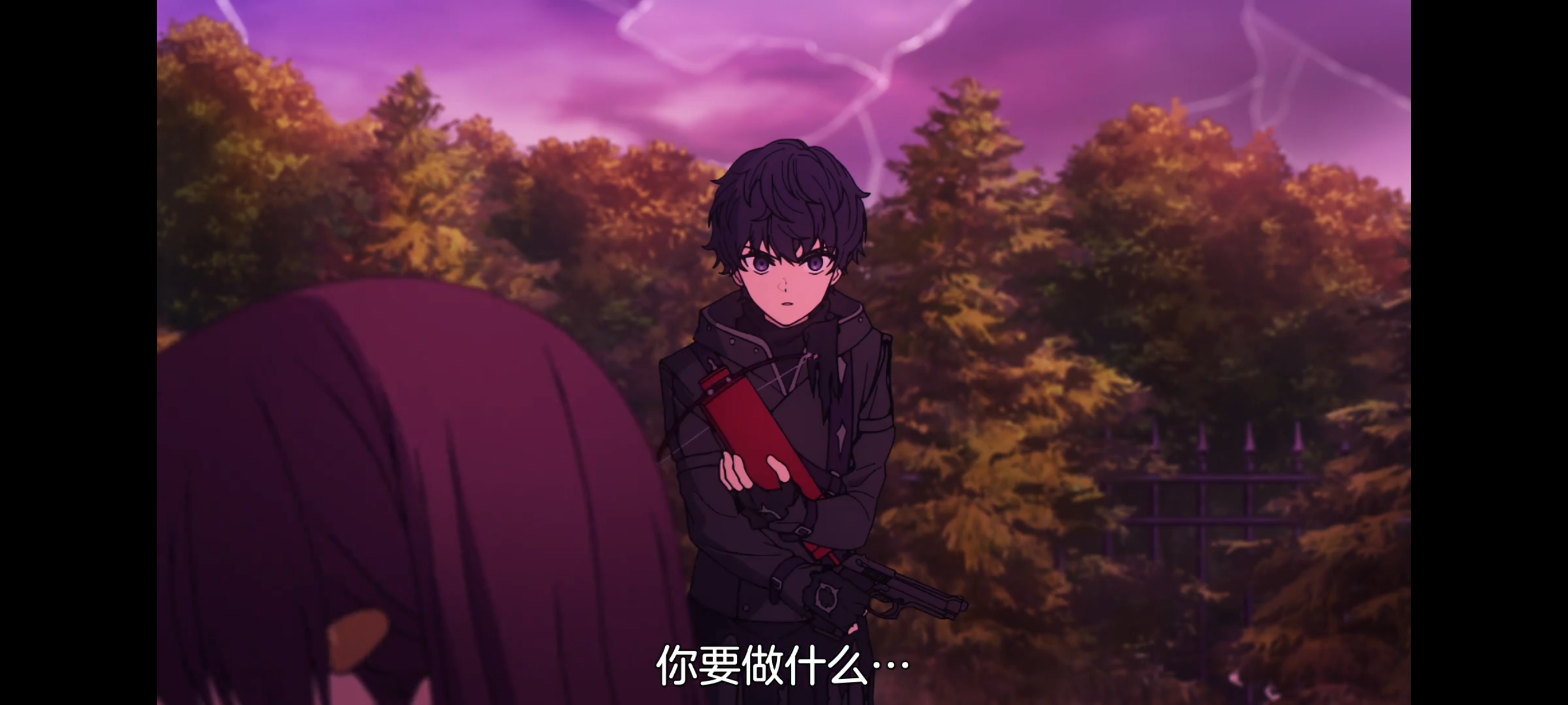 FATE,命运奇异赝品,FatestrangeFake,动画,动漫,番剧,二次元,ACG