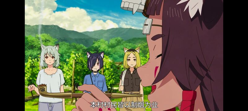 尼古喵喵,雅尼猫,动画,动漫,番剧,日漫,二次元,ACG
