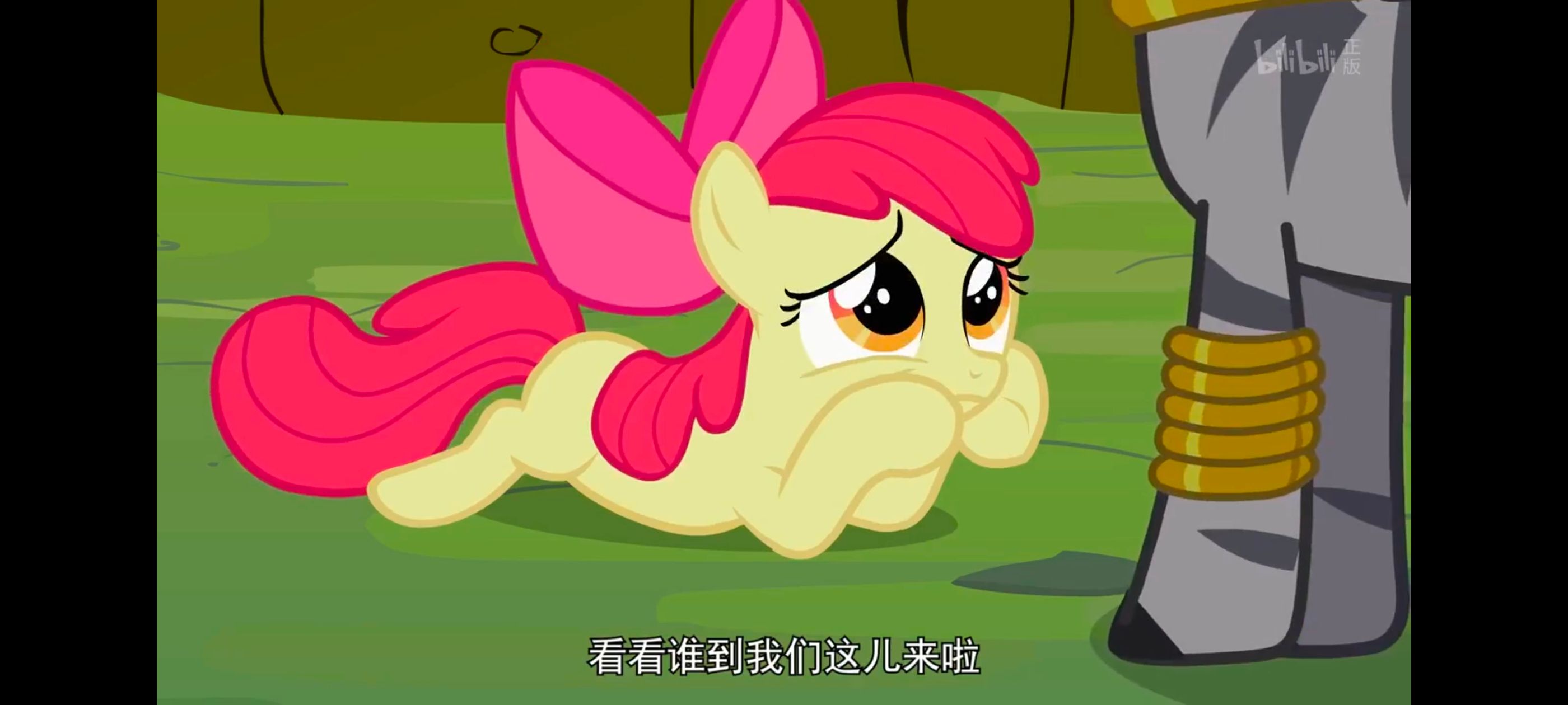 小马宝莉,彩虹小马,我的小马驹,动漫,动画,番剧,ACG