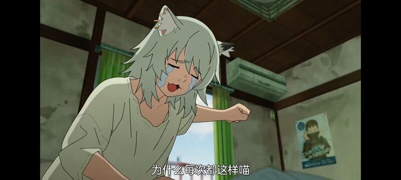 雅尼猫,尼古喵喵,动画,动漫,番剧,二次元,日漫,ACG