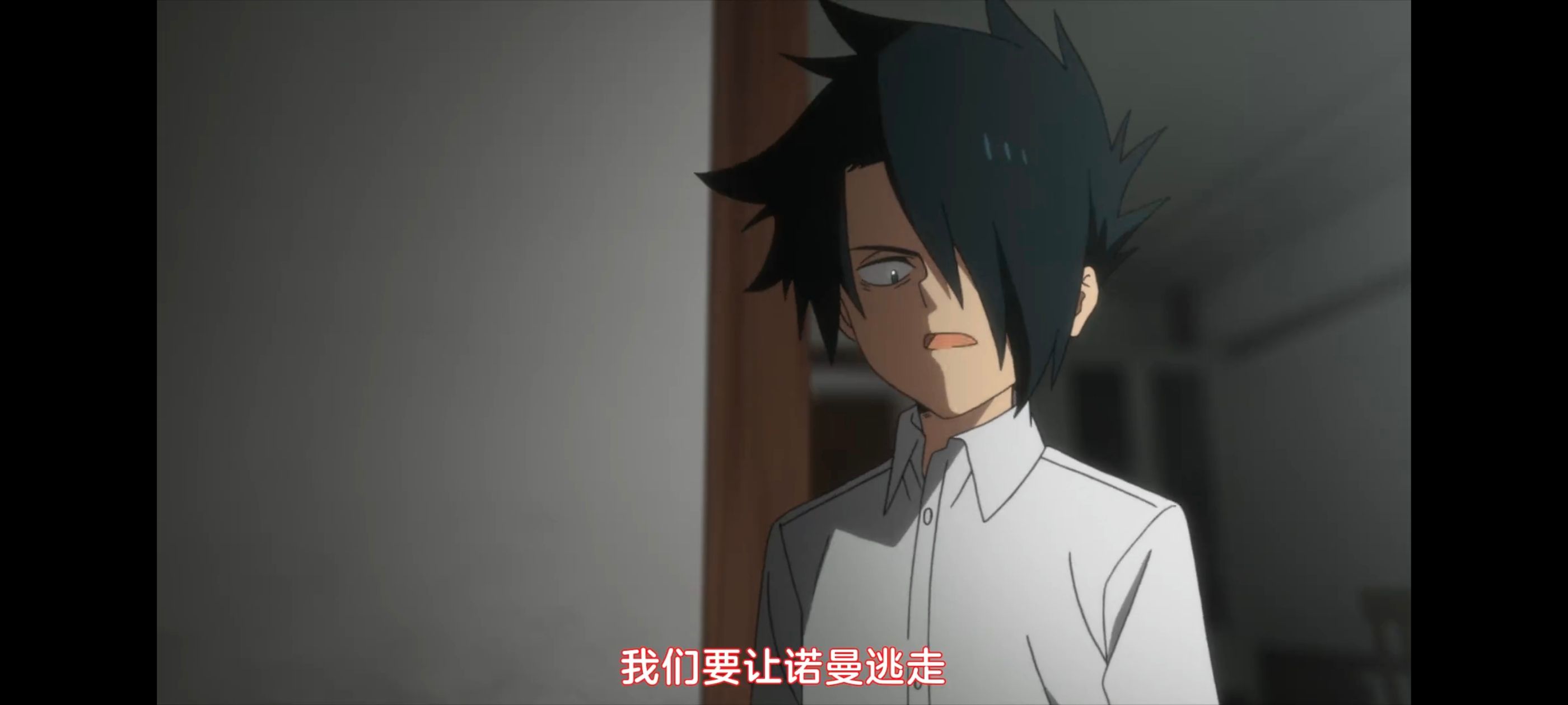 约定的梦幻岛,动画,动漫,番剧,二次元,ACG