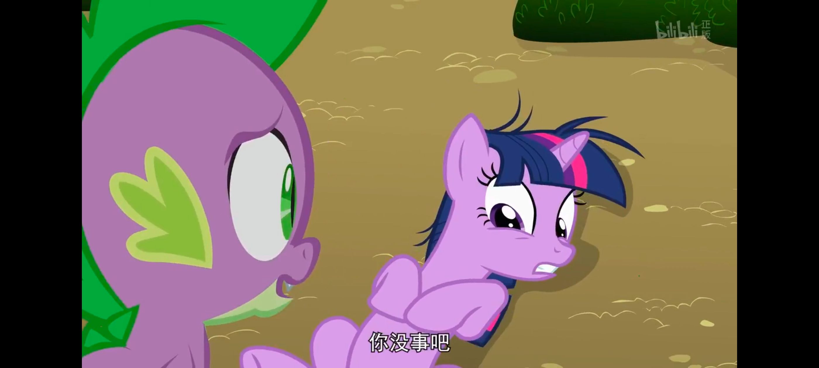 小马宝莉,小马宝莉友谊魔法,彩虹小马,我的小马驹,动画,动漫,番剧,ACG