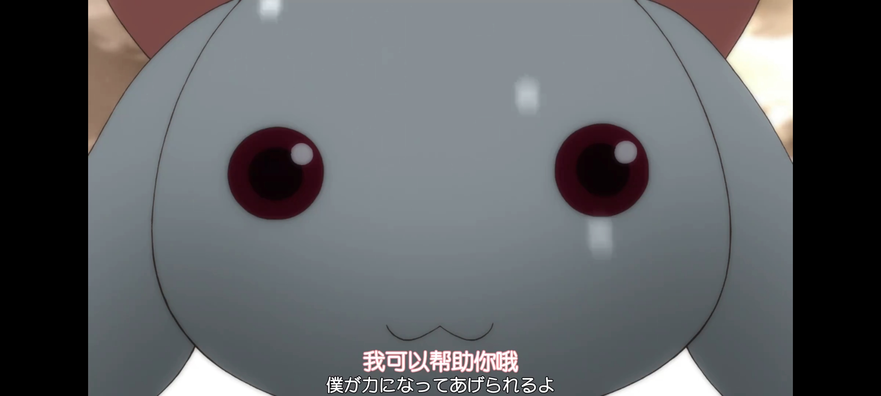 魔法少女小圆,魔法少女,动画,动漫,二次元,ACG