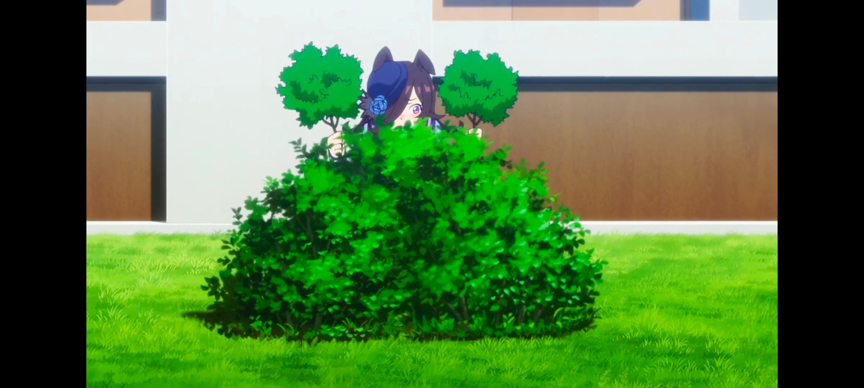 赛马娘,赛马娘第二季,动画,动漫,番剧,二次元,ACG,赛马娘PrettyDerby