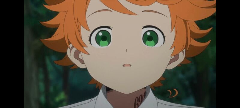 约定的梦幻岛,动画,动漫,番剧,ACG