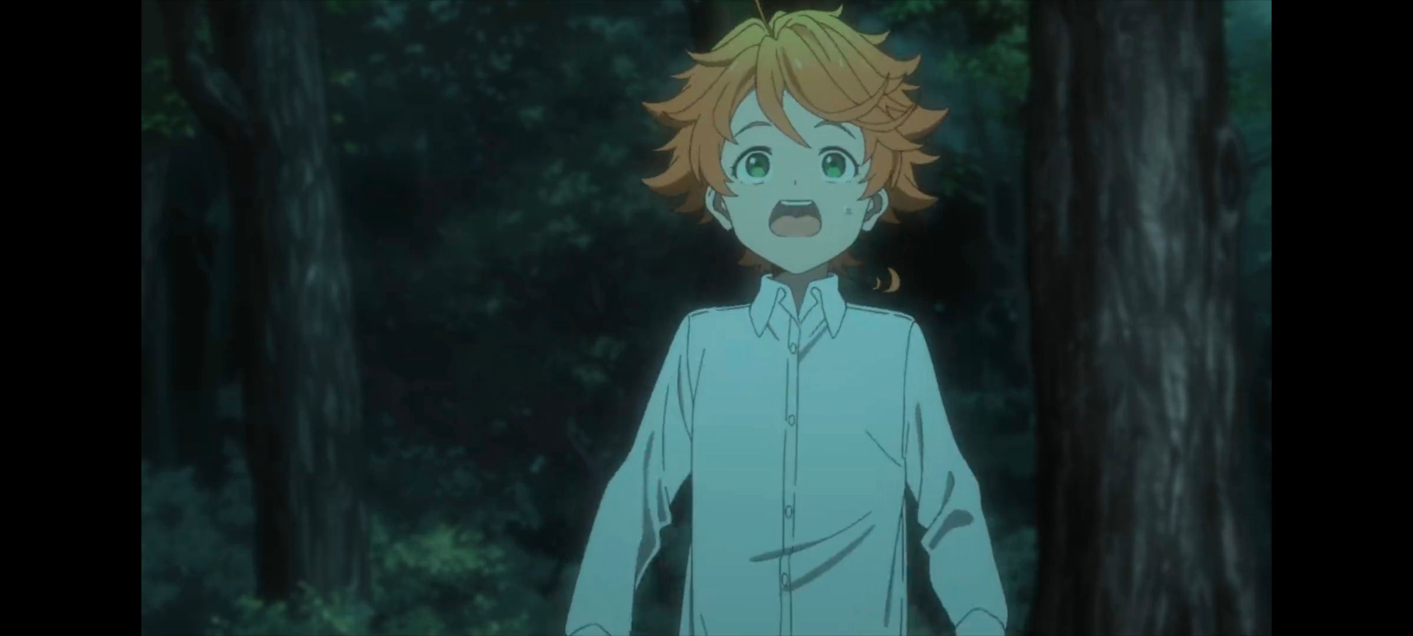 约定的梦幻岛,动画,动漫,番剧,ACG