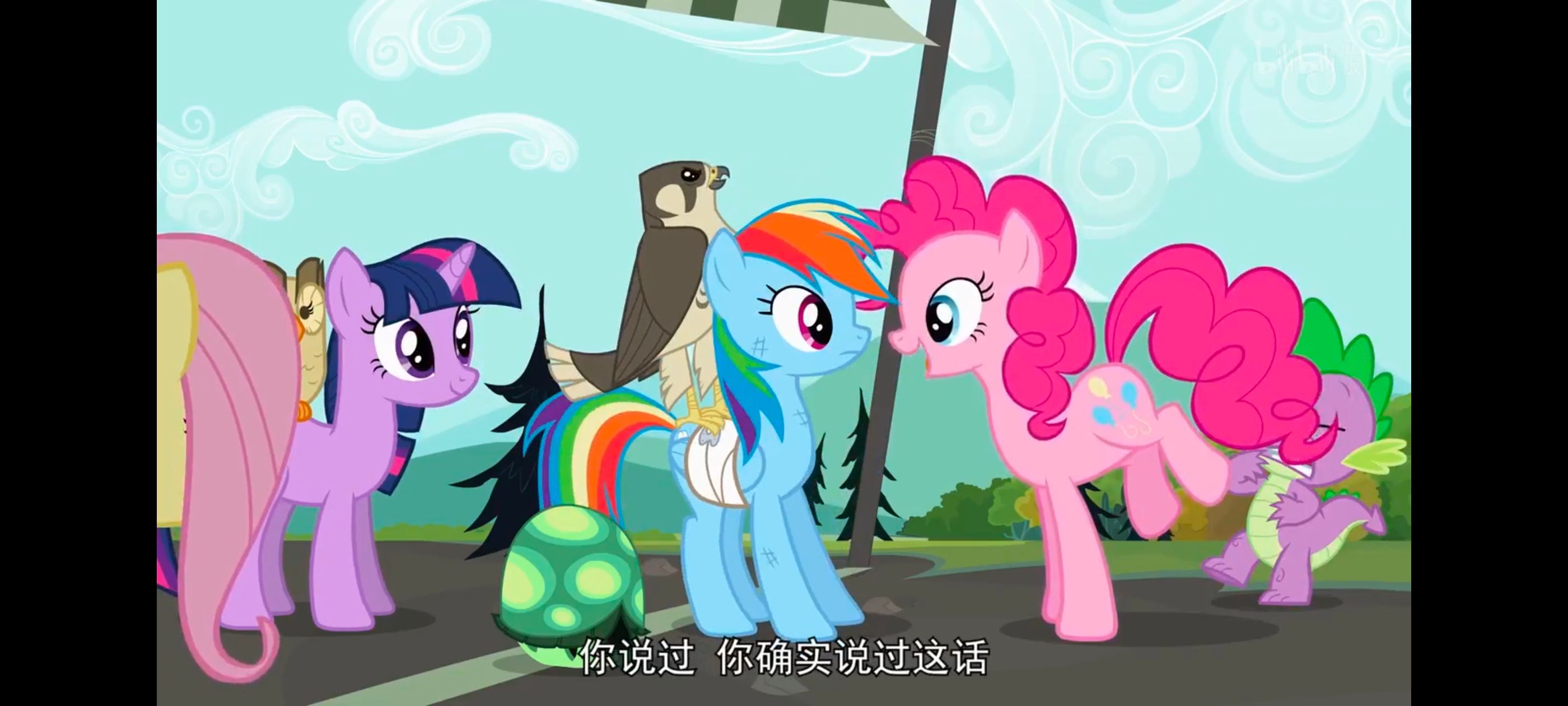 小马宝莉,彩虹小马,我的小马驹,动画,动漫,番剧,二次元,ACG