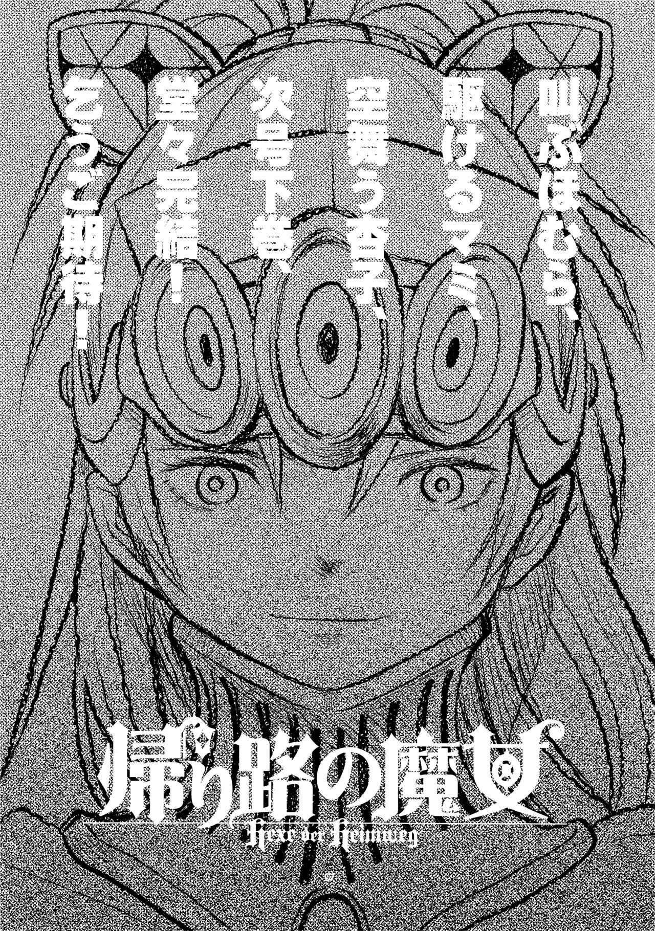 魔法少女小圆,同人,漫画,归途的魔女