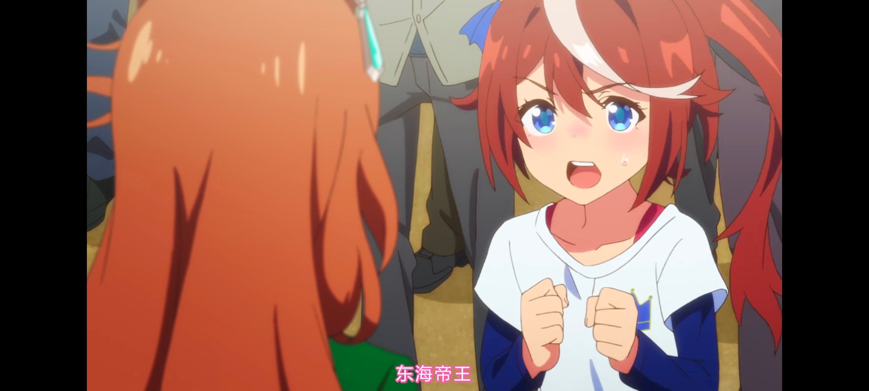 赛马娘,赛马娘PrettyDreby,赛马娘第二季,动画,动漫,番剧,ACG