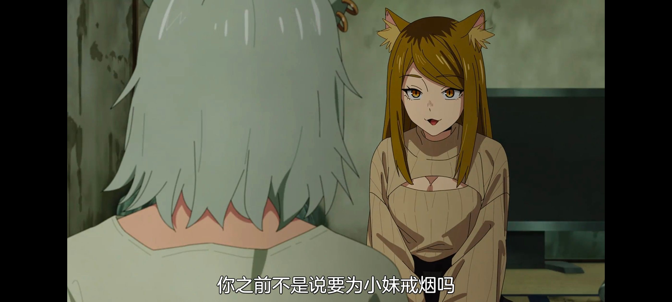 雅尼猫,尼古喵喵,动画,动漫,番剧,日漫,二次元,ACG