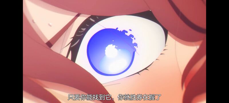 赛马娘,赛马娘PrettyDreby,芦毛灰姑娘,赛马娘芦毛灰姑娘,动画,动漫,番剧,ACG