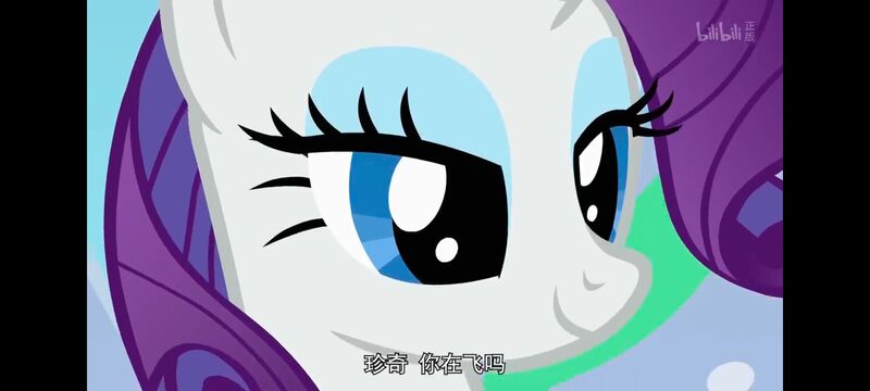 小马宝莉,小马宝莉友谊魔法,彩虹小马,我的小马驹,动画,动漫,番剧,ACG