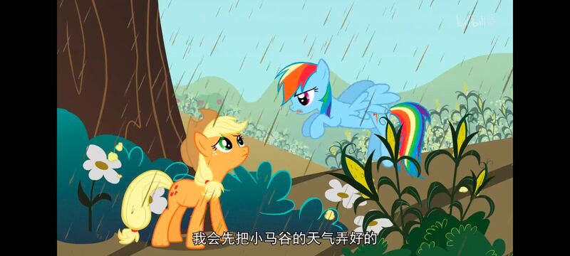 小马宝莉,小马宝莉友谊魔法,彩虹小马,我的小马驹,动画,动漫,番剧,ACG