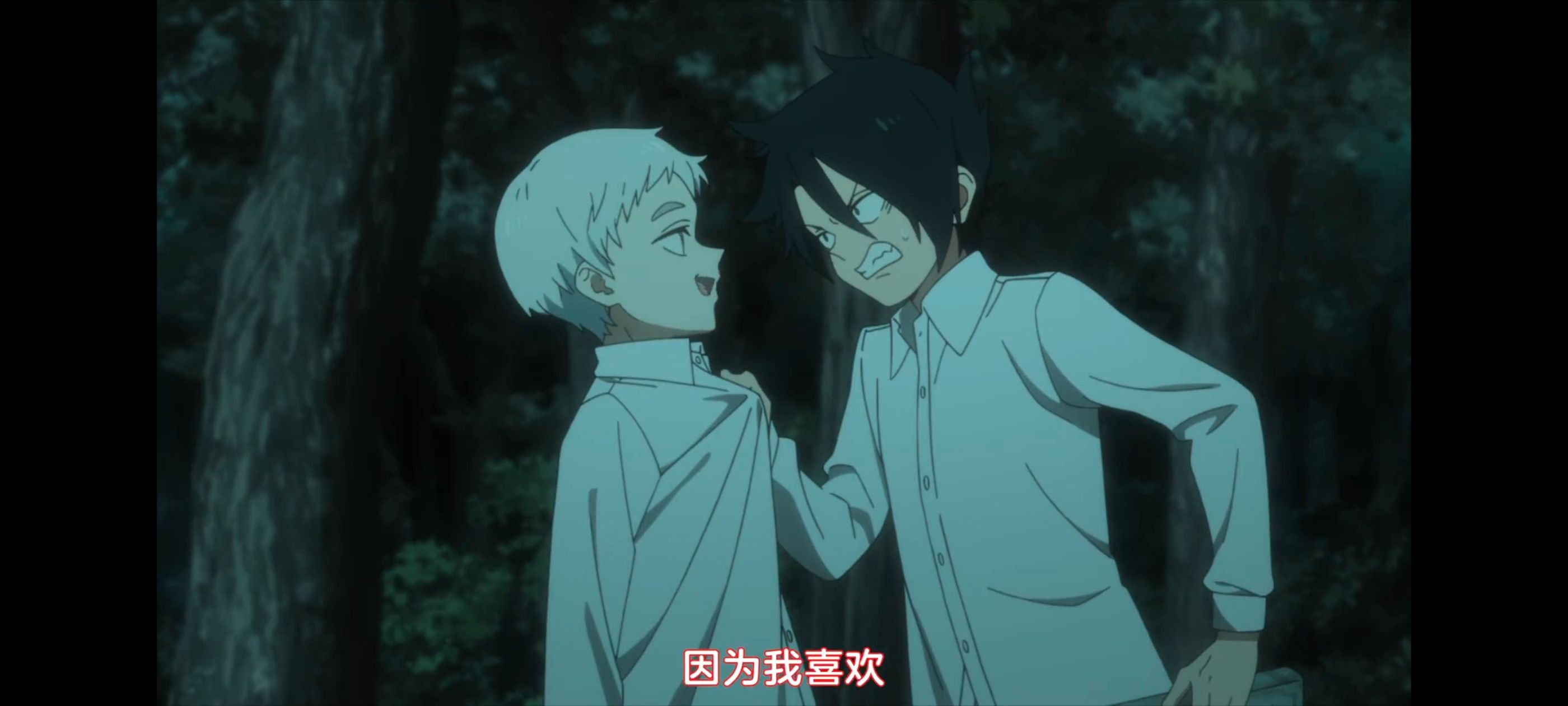 约定的梦幻岛,动画,动漫,番剧,ACG