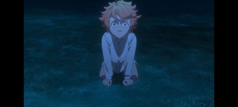 约定的梦幻岛,动画,动漫,番剧,ACG