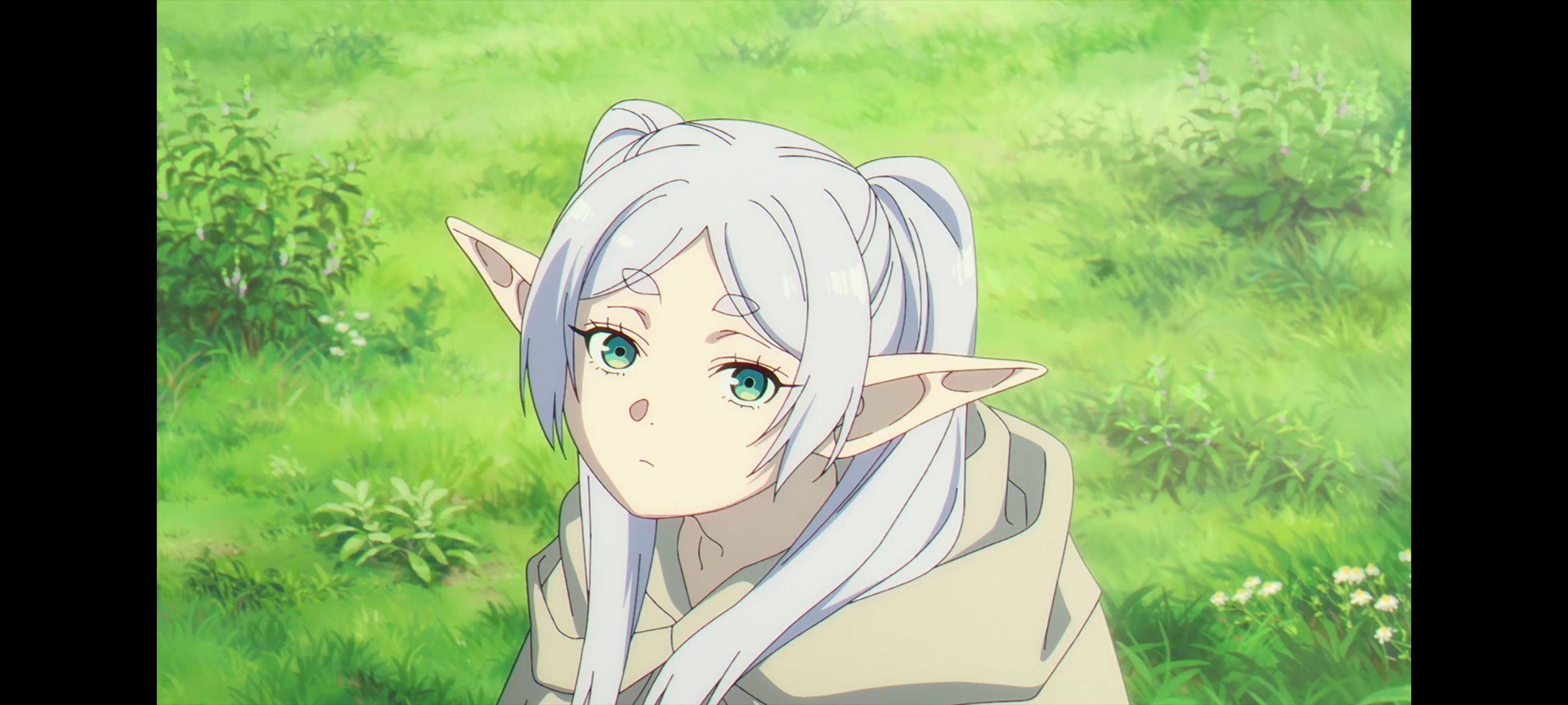 葬送的芙莉莲,动画,动漫,番剧,ACG